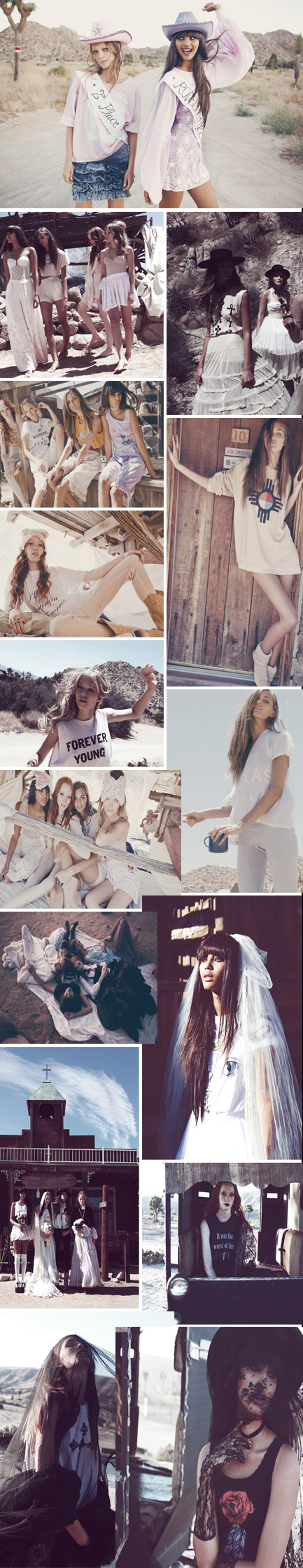 wildfox2012